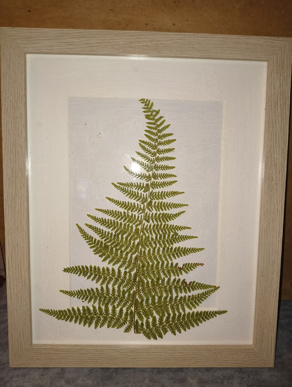 Framed Green Fern Wall Art - Modern Botanical Print
